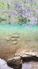 lake water sea seagulls birds on the water lake view landscape forest greenery forest lake mountain air mountain lake landscape nature