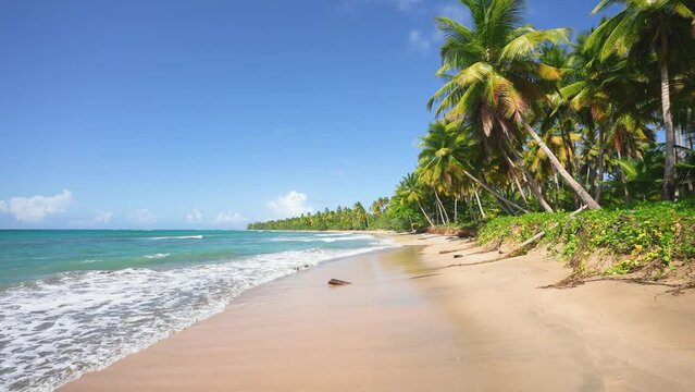 Palm grove on a wild sandy Indian beach in the sun. Turquoise ocean waves off the coast of the tropical peninsula of Bali. Beautiful exotic seascape. Summer holidays at sea.