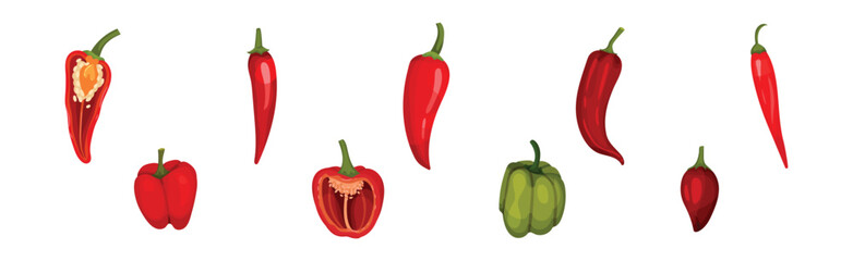 Red and Green Pepper Cultivated Plant for Culinary Use Vector Set