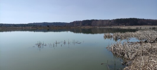 Reflection of trees in the lake