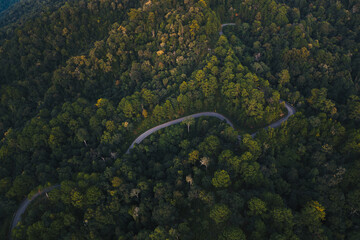 Aerial view of countryside road passing through the green forrest and mountain