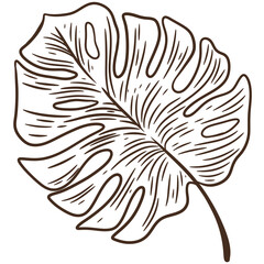 Obraz premium Leaves line art