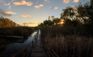 Naklejka premium Wooden path over the swamp at Fall sunrise Jegricka Nature Park