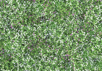 Fototapeta na wymiar Field of plants isolated on transparent background. 3d rendering - illustration