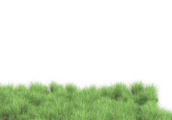 Obraz na płótnie Canvas Field of plants isolated on transparent background. 3d rendering - illustration