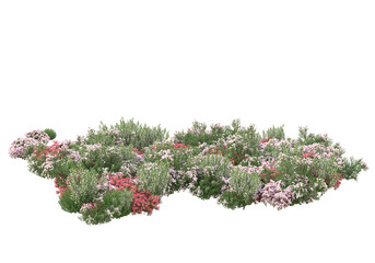 Field of grass with flowers isolated on transparent background. 3d rendering - illustration