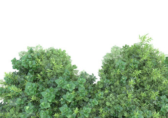 Obraz premium Field of grass with flowers isolated on transparent background. 3d rendering - illustration