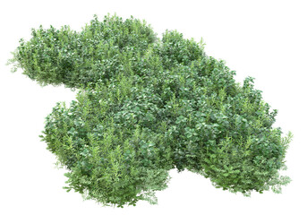 Obraz premium Field of grass with flowers isolated on transparent background. 3d rendering - illustration