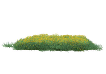 Field of foliage isolated on transparent background. 3d rendering - illustration