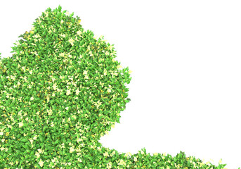 Field of foliage isolated on transparent background. 3d rendering - illustration