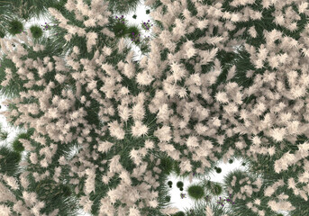 Field of foliage isolated on transparent background. 3d rendering - illustration