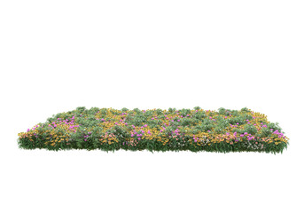 Field of grass isolated on transparent background. 3d rendering - illustration