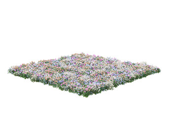 Field of grass isolated on transparent background. 3d rendering - illustration