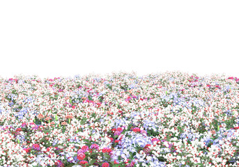 Field of grass isolated on transparent background. 3d rendering - illustration