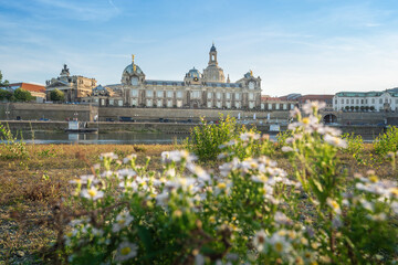 Fototapeta na wymiar Elbe River skyline with Bruhls Terrace and Dresden Academy of Fine Arts - Dresden, Saxony, Germany