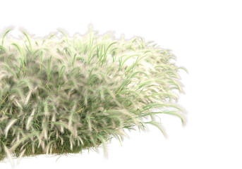 Foliage isolated on transparent background. 3d rendering - illustration