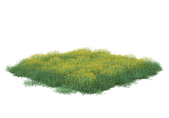 Foliage isolated on transparent background. 3d rendering - illustration