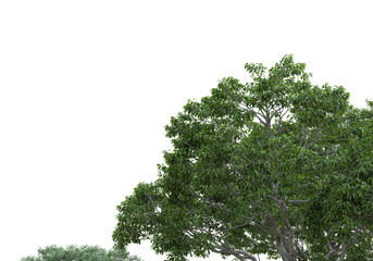 Realistic forest island on transparent background. 3d rendering - illustration