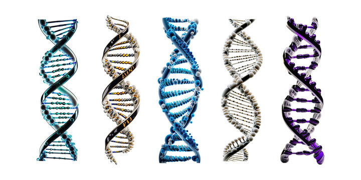Set of DNA genome structure isolated on white background - Generative AI