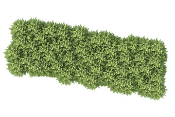 Realistic forest island on transparent background. 3d rendering - illustration