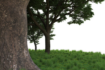 Realistic forest island on transparent background. 3d rendering - illustration