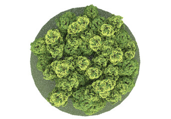 Realistic forest island on transparent background. 3d rendering - illustration