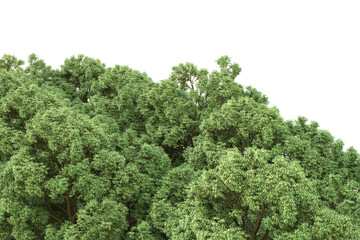 Obraz premium Realistic forest island on transparent background. 3d rendering - illustration