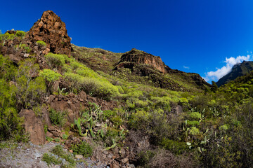Beautiful landscape of the cliffs and mountains of Los Gigantes in the canary Islands during springtime