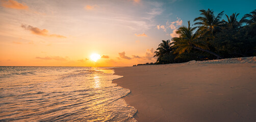 Island palm trees sandy beach. Panoramic sea bay landscape. Inspire tropical beach seascape horizon. Orange and golden sunset sky wave surf splash reflection calm tranquil carefree shore. Dream nature