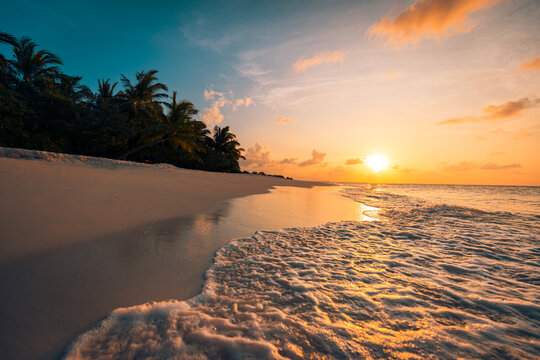 Island palm trees sandy beach. Panoramic sea bay landscape. Inspire tropical beach seascape horizon. Orange and golden sunset sky wave surf splash reflection calm tranquil carefree shore. Dream nature