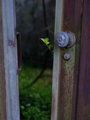Old doorknob in the middle of nature