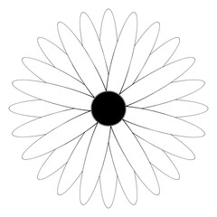 Obraz premium Black and white daisies pattern. Trendy daisy pattern. Summer wildflower for t-shirts or posters. Chamomile background