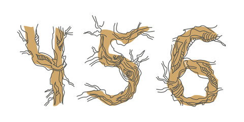 Set numbers 4, 5, 6. Decorative font from tree roots. Environmental design. Nature typography