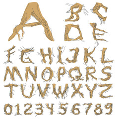 Obraz premium Set initial letters from A to Z. Decorative font from tree roots. Environmental design. Nature typography