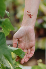 woman's hand with drawing of mehendi bee made of henna, wrist among green shoots of plants. creative work in body drawing, Indian decoration technology