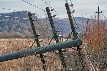 Fallen telegraph pole with white porcelain insulators in dry grass