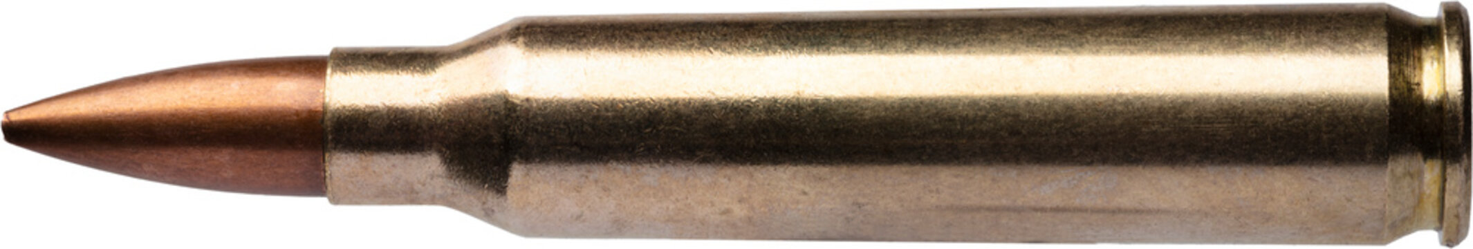 223 cakuber anni wutg a copper jacketed bullet