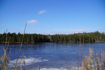 &Eacute;tang de la Gru&egrave;re during winter (Swiss Jura natural reserve)