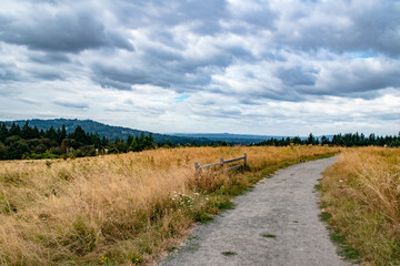 Fototapeta na wymiar Trail and Dry Meadow in Powell Butte Park in East Portland, OR