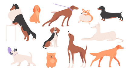 Dogs set vector illustration. Cartoon happy cute dogs of different breeds collection, group of small and big animal characters with funny poses, tails and adorable faces, playing puppy portraits