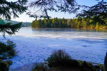 &Eacute;tang de la Gru&egrave;re during winter (natural reserve in switzerland)