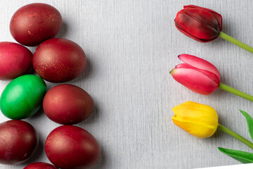 red and yellow tulips