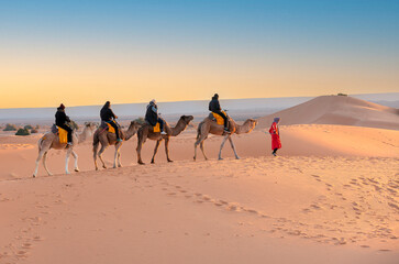 Camel caravan crossing sand dunes in Sahara Desert, Morocco at sunset