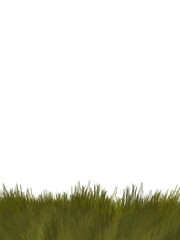 Abstract background with painted grass and place for text. Green grass backdrop. grass peaks on a white background.