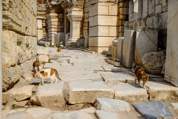 Ancient statue in the city of Ephesus, Turkey