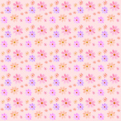 Floral pattern of pink flowers (cosmos) on a pale pink background. Flat lay, top view. Summer background. Flowers pattern