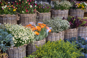 Fototapeta na wymiar Variety of beautiful spring flowering plants at the greek garden shop in spring.