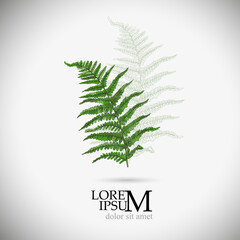 Logo fern object. Vector illustration