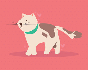 Fototapeta premium cute cat walking