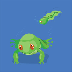 frog and tadpole